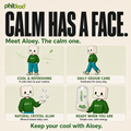 Meet Aloey and the Phitkoo Aloe Vera crystal alum roll-on